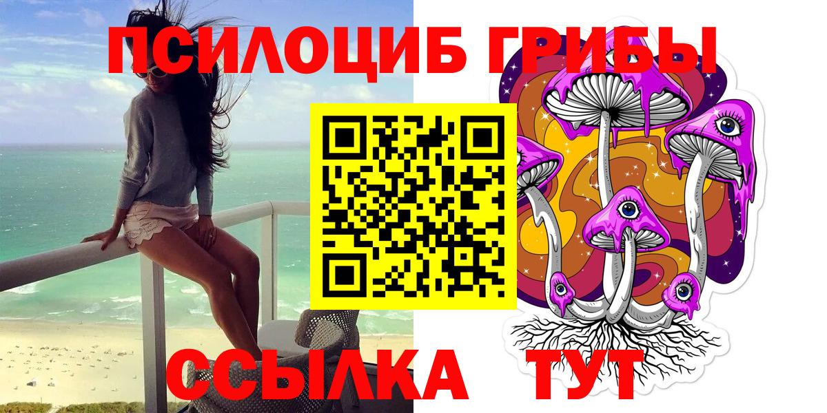 Псилоцибиновые грибы Psilocybine cubensis  Псилоцибиновые грибы ЛСД  Губкин  Вход с VPN 