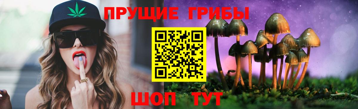 Галлюциногенные грибы мицелий Губкин